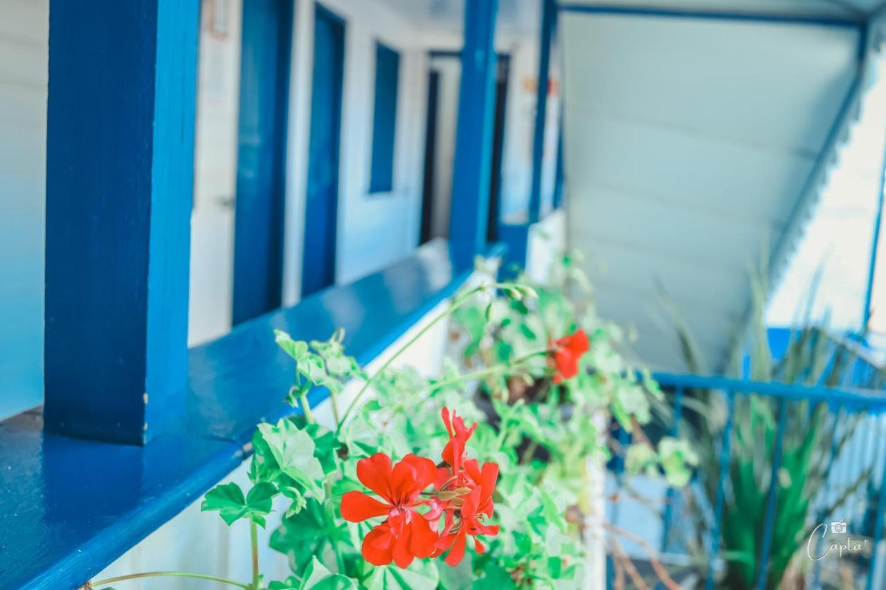 Pousada Tia Leonor Gramado Ngoại thất bức ảnh